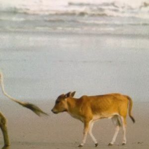 Meet your Posher, Byron